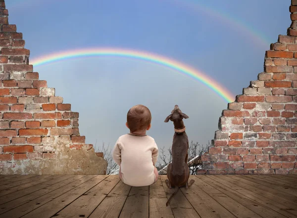 Bambino, cane e arcobaleno — Foto Stock