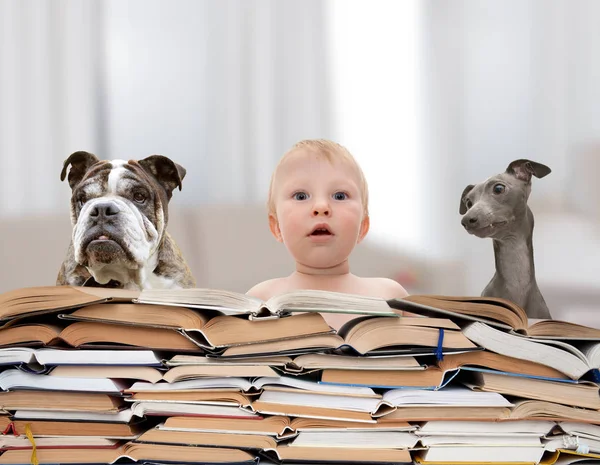 赤ちゃん、犬、書籍 — ストック写真