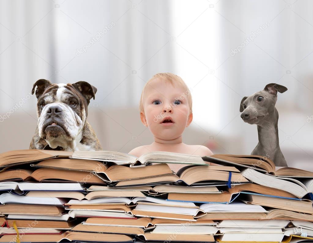Baby, dogs and books