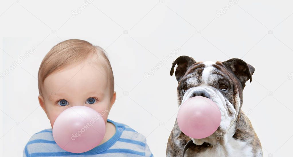 boy and dog with chewing gum