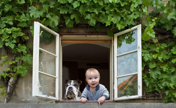 Baby und Hund 3 — Stockfoto