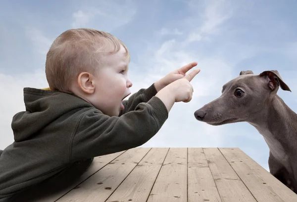 Bebê e cachorro — Fotografia de Stock