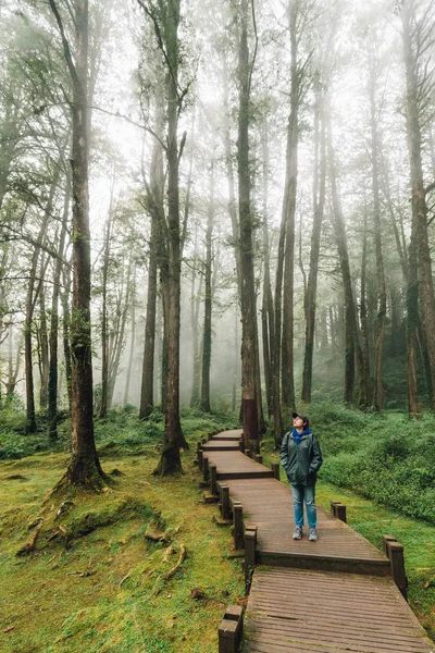 Turista Mujer Caminando Cipreses Cedros Bosque Con Niebla Área Recreación — Foto de Stock