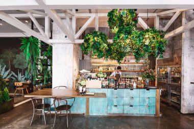 Barda, yeşil bitkilerle süslenmiş bir sürü içki markası ve mixolojist var. Modern restoran atmosferi. Tropik tasarım.