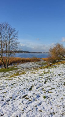 Beyaz kar arkaplan dokusu 