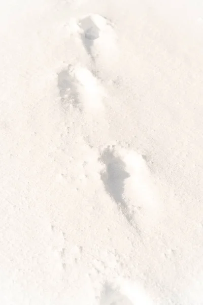 Footprints Snow Series — Stock Photo, Image