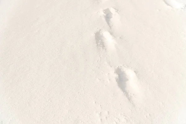 Footprints Snow Series — Stock Photo, Image