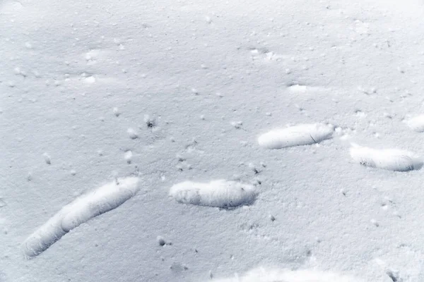 Footprints Snow Series — Stock Photo, Image