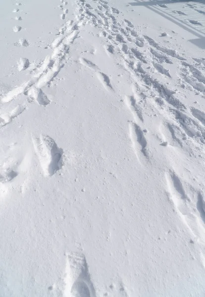 Huellas Nieve Serie —  Fotos de Stock