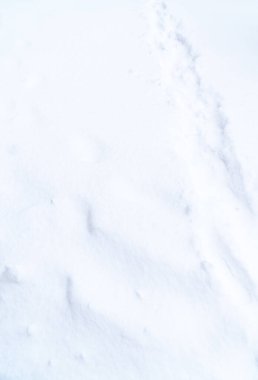 Beyaz kar arkaplan dokusu (dizi)