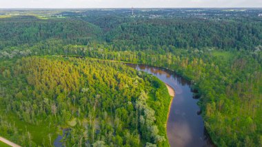 Sigulda 'nın güzel ormanları, çayırlar ve akan Gauja nehri üzerinde uçan dron' dan panoramik hava manzaralı fotoğraf. Sigulda, Letonya yazın)