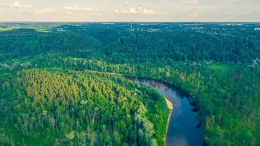Sigulda 'nın güzel ormanları, çayırlar ve akan Gauja nehri üzerinde uçan dron' dan panoramik hava manzaralı fotoğraf. Sigulda, Letonya yazın)