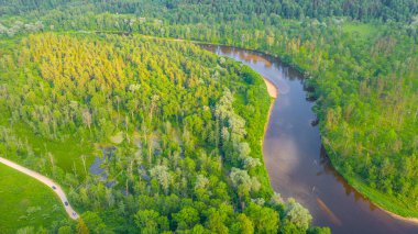 Sigulda 'nın güzel ormanları, çayırlar ve akan Gauja nehri üzerinde uçan dron' dan panoramik hava manzaralı fotoğraf. Sigulda, Letonya yazın)