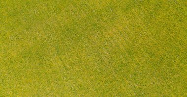 Güneşli bir günde İHA 'dan Meadow' a karahindiba ile uçan güzel panoramik hava manzaralı fotoğraf. Baharda karahindiba. Çiçekli karahindibalar. Yukarıdan güzel bir karahindiba arkaplanı. serisi