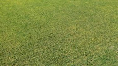 Güneşli bir günde İHA 'dan Meadow' a karahindiba ile uçan güzel panoramik hava manzaralı fotoğraf. Baharda karahindiba. Çiçekli karahindibalar. Yukarıdan güzel bir karahindiba arkaplanı. serisi