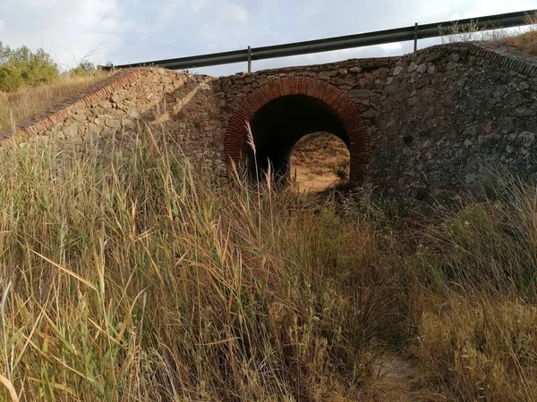 Árboles Arbustos Largo Camino Tierra Rural Recto Formando Túnel Antequera — Foto de Stock