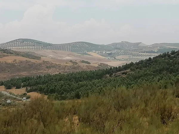 Antequera Malaga Endülüs, İspanya 'da Torcal dağlarının bulutlu manzarası. Unesco tarafından dünya mirası ilan edilen eşsiz bir doğal alan..