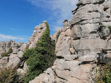 Torcal de Antequera, province of Malaga, Andalusia, Spain The unique shape of the rocks is due to the erosion that occurred 150 million years ago.