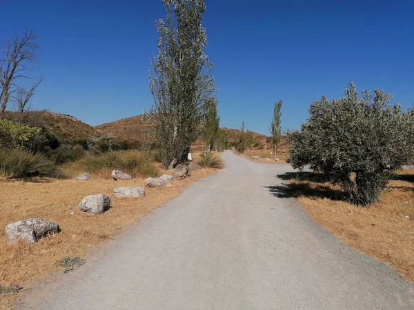 Torcal Stone Road Provincia Málaga Andalucía España — Foto de Stock