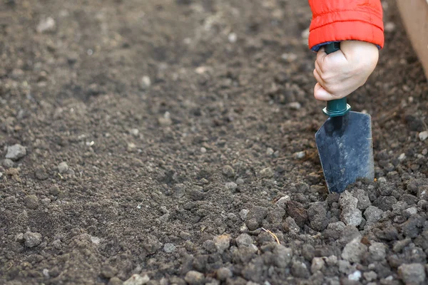 Kırmızı ceketli genç bir çocuk bahçede çalışmak için bir bahçe küreği tutuyor.