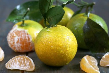 dal yaprakları ile olgun mandalina 