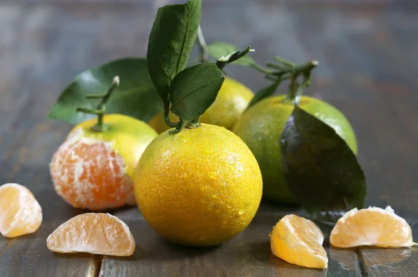 dal yaprakları ile olgun mandalina 