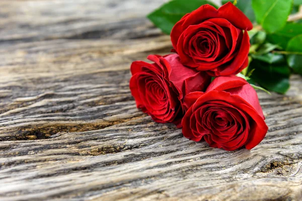Eski ahşap bir masada yazı için fotokopi alanı olan üç kırmızı gül. Seçici odak.
