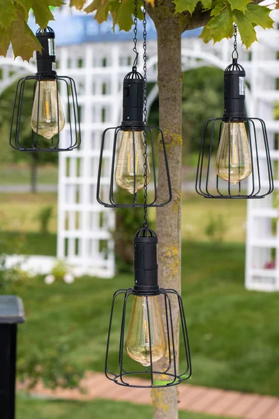 street decoration, electric decorative lights suspended from tree