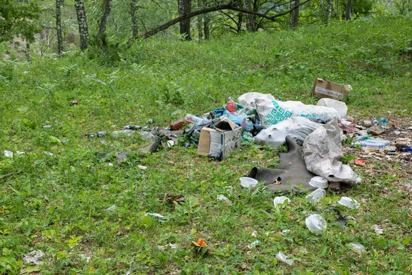 Garbage dump in forest. Plastic and food waste concept.