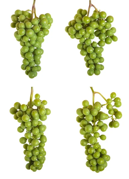 Um monte de uvas verdes não maduras. isolado em fundo branco — Fotografia de Stock