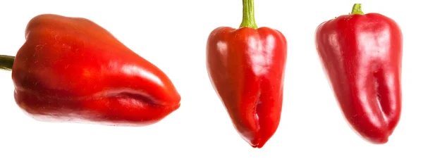 Reife rote Paprika. isoliert auf weißem Hintergrund — Stockfoto