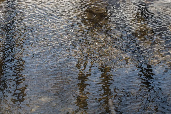 surface of the pond. ripples on the water.