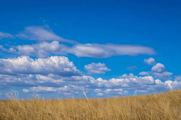 Steppe Landscape Early Spring — Stock Photo, Image