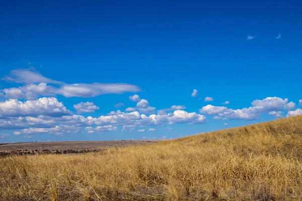 Steppe Landscape Early Spring — Stock Photo, Image