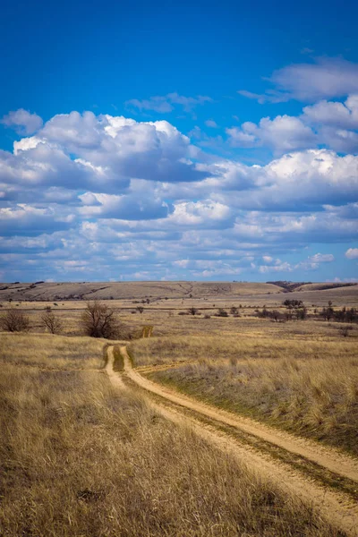Steppe Landscape Early Spring — Stock Photo, Image