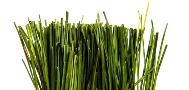 Beyaz arka planda bir sürü yeşil çimen