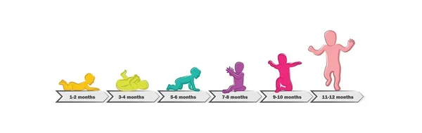 Desarrollo del bebé Etapas Hitos Primer año. Cronología de los hitos infantiles del primer año — Vector de stock