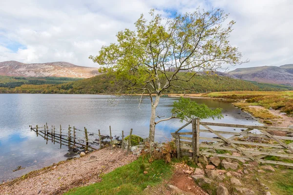 Pobřeží Ennerdale vody v Cumbrii — Stock fotografie