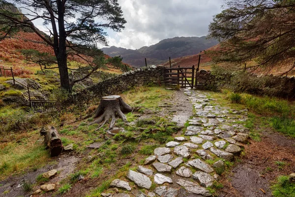 Stenen pad in het Lake District — Stockfoto