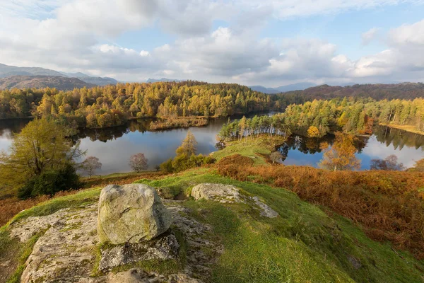 Skalista punkt widokowy z widokiem na Tarn Hows w Lake District, Wielka Brytania — Zdjęcie stockowe