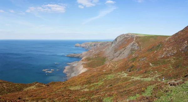 Cliffs and coastline around Crackington Haven in Cornwall, Engla — Stock Photo, Image