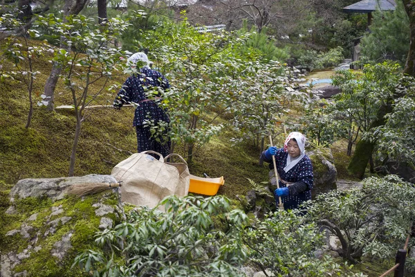 Gardeners at Kinkaku-ji, Kyoto, Japan — Stock Photo, Image