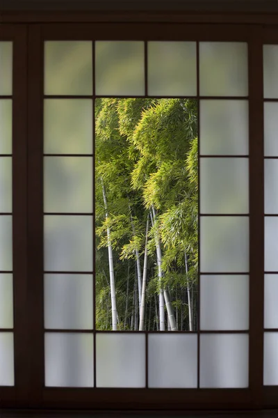 Bambusový Les v japonském okně Shoji — Stock fotografie