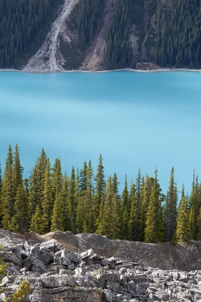 Gros plan sur le lac Peyto — Photo