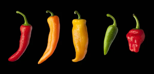 Pimentos Multi-coloridos em linha sobre um fundo preto — Fotografia de Stock