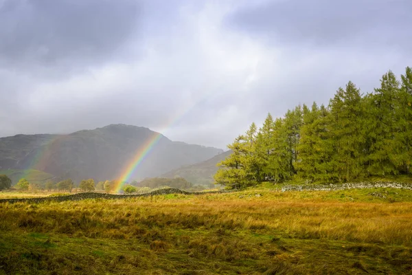 Arc Ciel Sur Peuplement Arbres Little Langdale Cumbria Royaume Uni — Photo