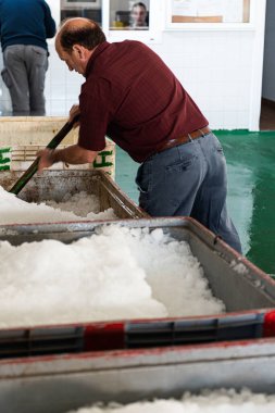Balık satıcısı balığı Santiago de Compostela / Galicia 'daki balık pazarına koymadan önce buz kürekliyor.