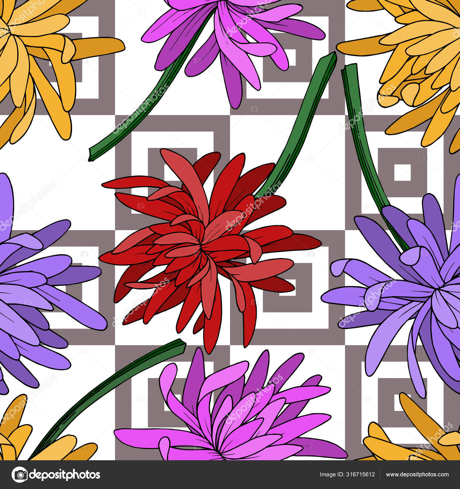 Vector Chrysanthemum floral botanical flower. Black and ...