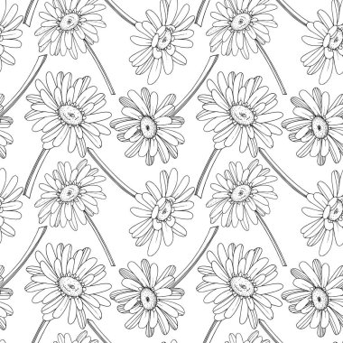 Vektör Gerbera çiçekli botanik çiçeği. Siyah ve beyaz oymalı