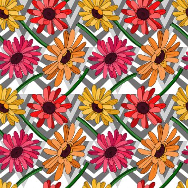 Vektör Gerbera çiçekli botanik çiçeği. Siyah ve beyaz oymalı